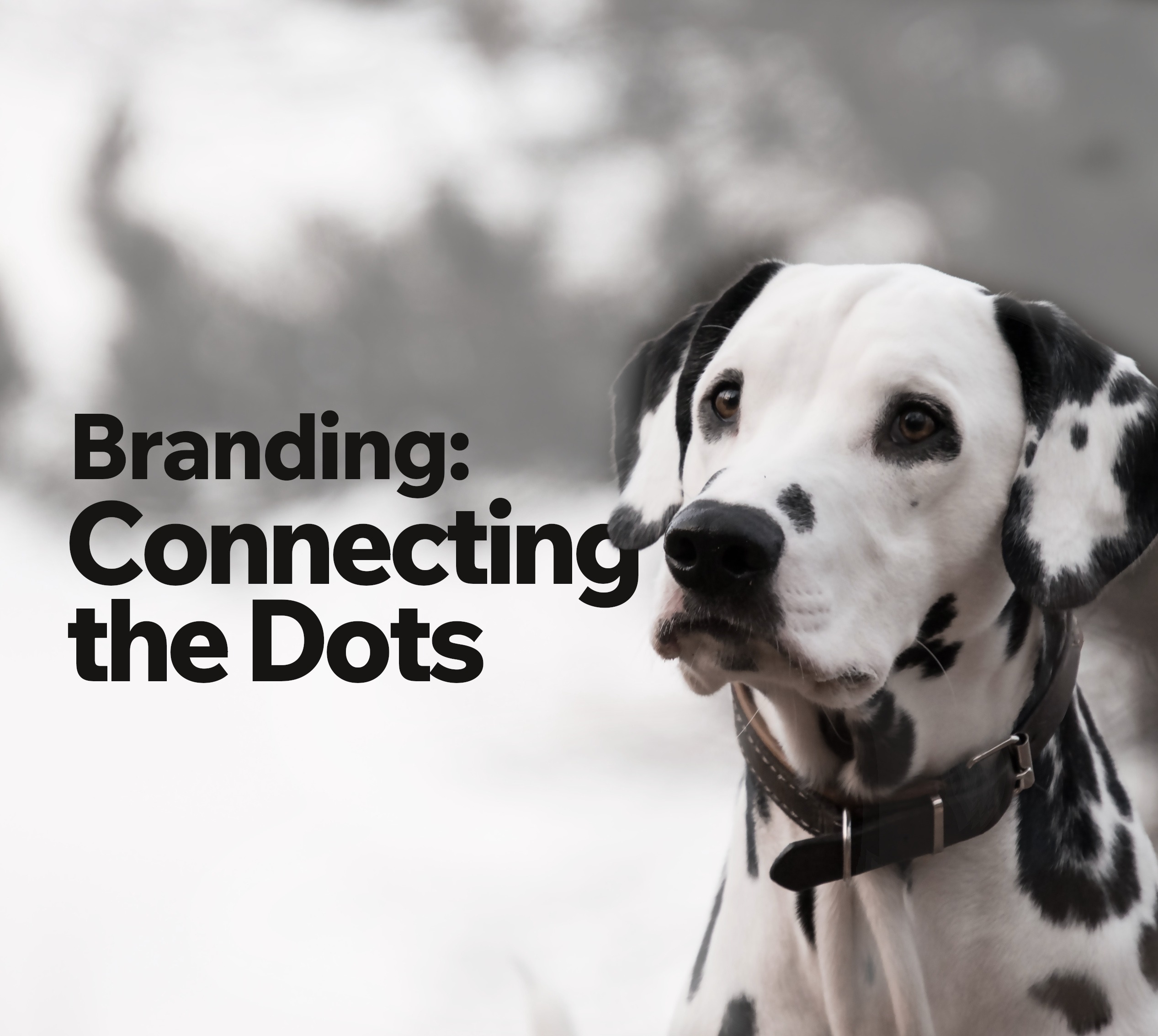 Connecting the dots