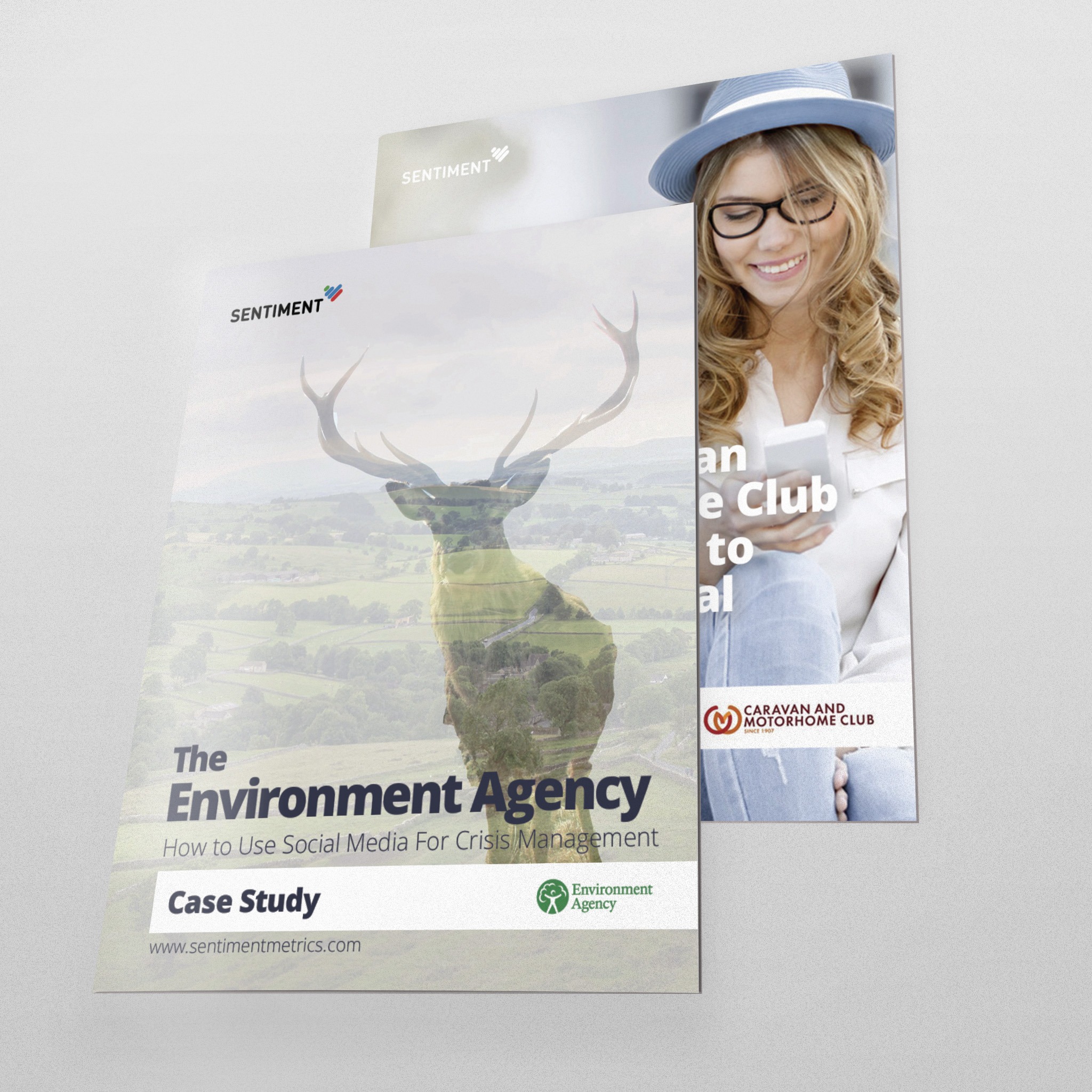 Sentiment Marketing Materials