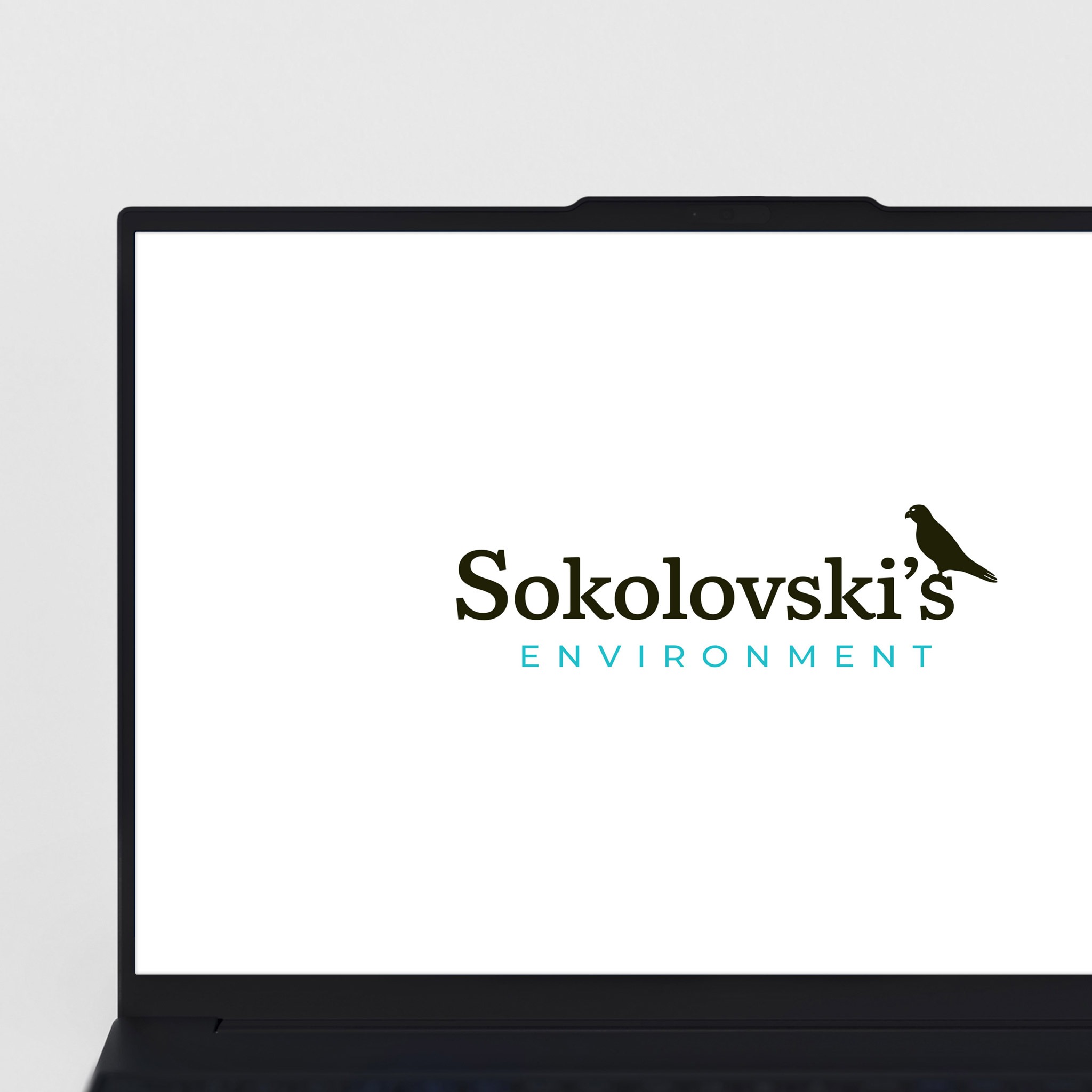Sokolovski's Environment Logo