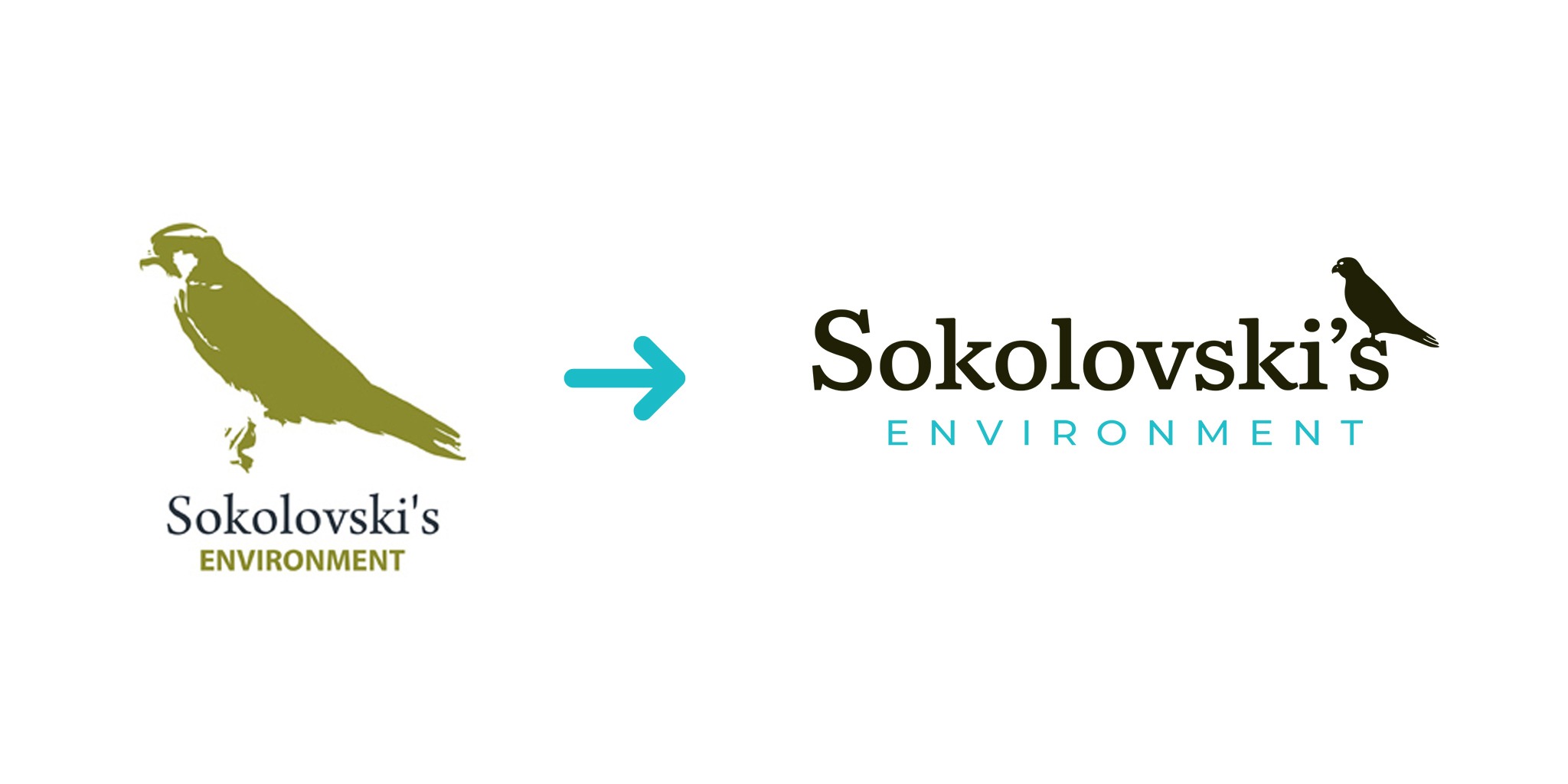 Original Logo VS Redesign