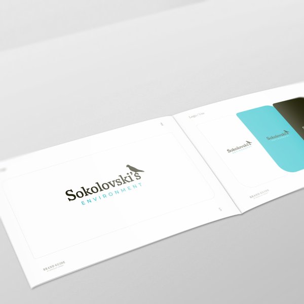 Brand Guide Logo
